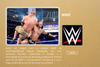 WWE - ActionFigure Brasil