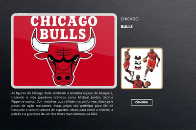Chicago Bulls
