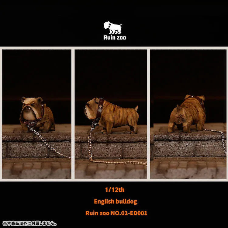 1/12 English Bulldog 001ㅤ – RZTOYS – ActionFigureBrasil