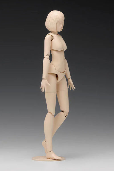 1/12 Scale Movable Body Female Type [A Version] Plastic Modelㅤ – Wave – ActionFigure Brasil — detalhe do produto