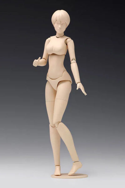 1/12 Scale Movable Body Female Type [B Version] Plastic Modelㅤ – Wave – ActionFigure Brasil