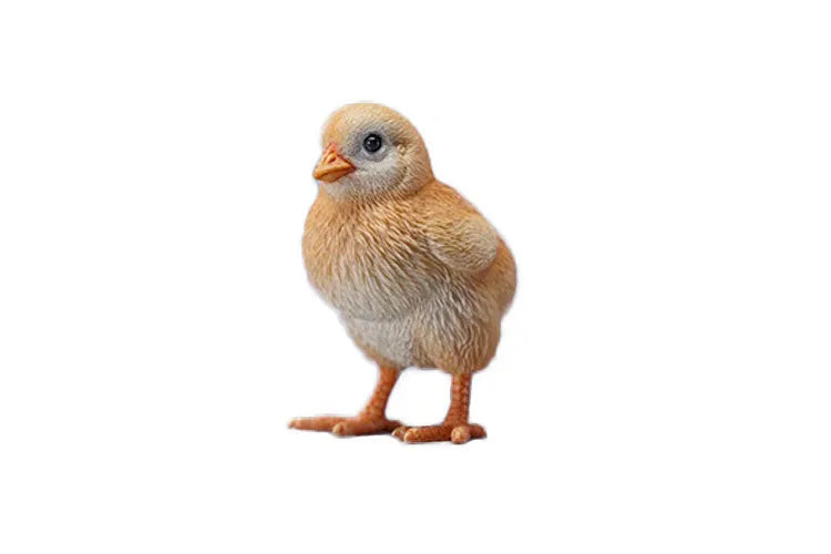 1/3 Chick Cㅤ – JXK Studio – ActionFigureBrasil
