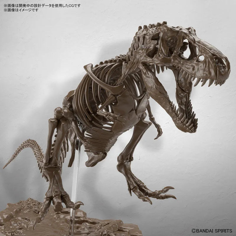 1/32 Imaginary Skeleton Tyrannosaurus Plastic Modelㅤ – Bandai Spirits – ActionFigure Brasil — ângulo diferente
