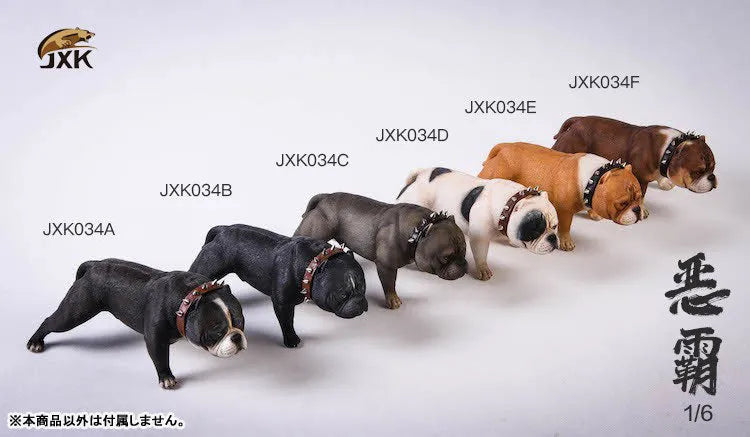 1/6 American Bully Cㅤ – JXK Studio – ActionFigure Brasil
