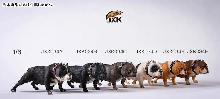1/6 American Bully Cㅤ – JXK Studio – ActionFigure Brasil