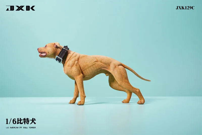 1/6 American Pit Bull Terrier Cㅤ – JXK Studio – ActionFigureBrasil