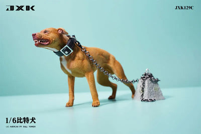 1/6 American Pit Bull Terrier Cㅤ – JXK Studio – ActionFigureBrasil — ângulo diferente