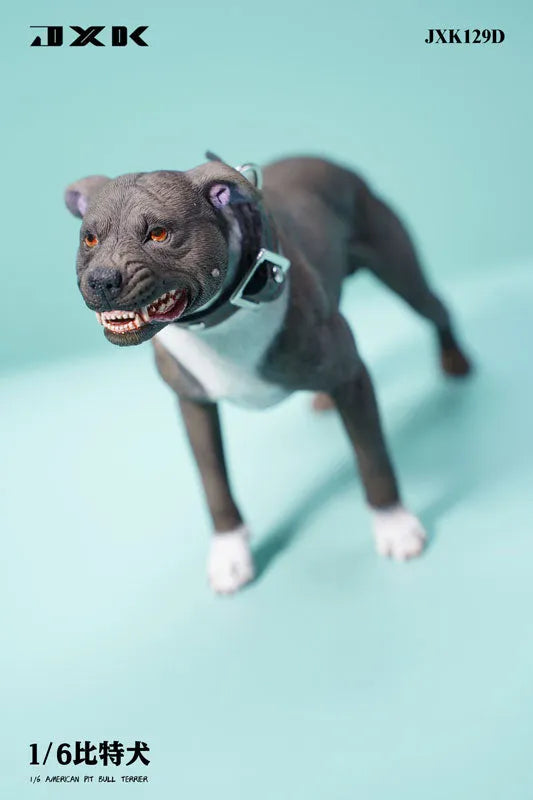 1/6 American Pit Bull Terrier Dㅤ – JXK Studio – ActionFigureBrasil
