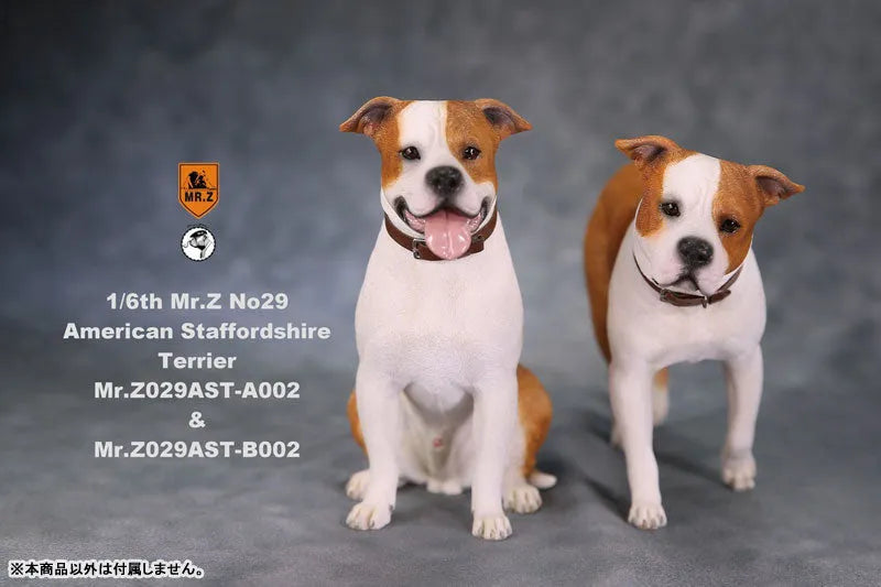 1/6 American Staffrodshire Terrier Statue Sitting B 002(Provisional Pre-order)ㅤ – Mr. Z – ActionFigure Brasil