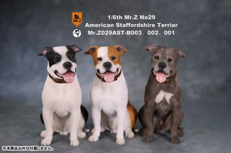 1/6 American Staffrodshire Terrier Statue Sitting B 002(Provisional Pre-order)ㅤ – Mr. Z – ActionFigure Brasil