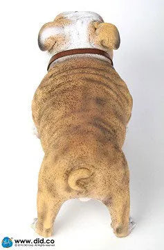 1/6 Animal series "British Bulldog"ㅤ – DID – ActionFigure Brasil — acessórios