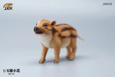 1/6 Baby Boarㅤ – JXK Studio – ActionFigureBrasil — ângulo diferente