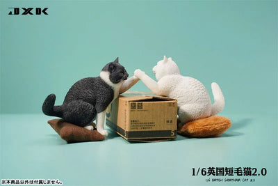 1/6 British Short Hair 2.0 Aㅤ – JXK Studio – ActionFigureBrasil — close