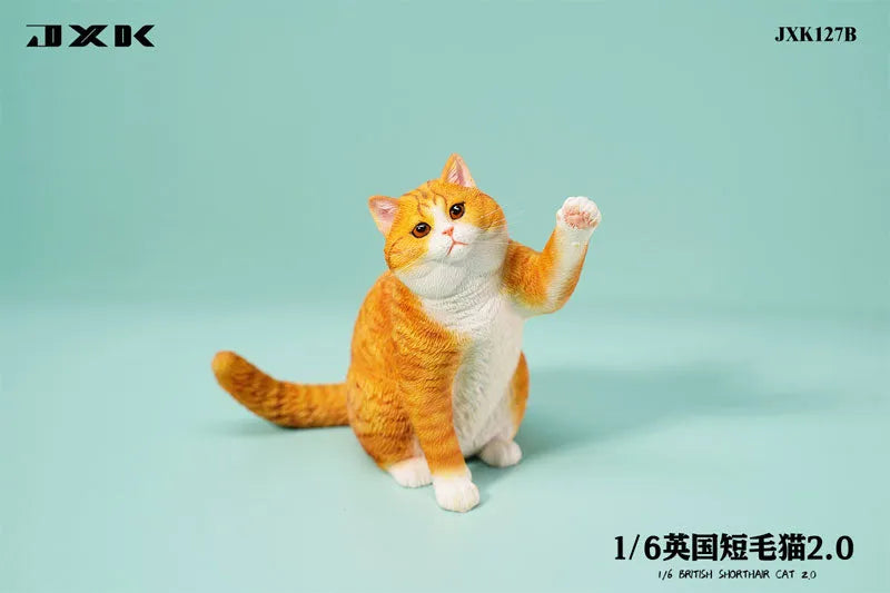 1/6 British Short Hair 2.0 Bㅤ – JXK Studio – ActionFigureBrasil