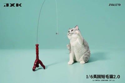 1/6 British Short Hair 2.0 Dㅤ – JXK Studio – ActionFigureBrasil