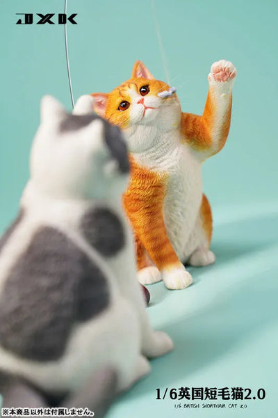 1/6 British Short Hair 2.0 Eㅤ – JXK Studio – ActionFigureBrasil — embalagem