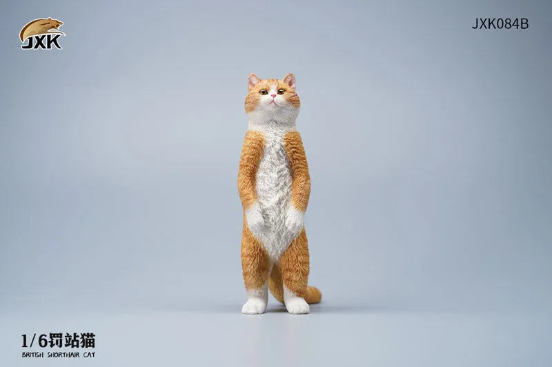 1/6 British Short Hair Bㅤ – JXK Studio – ActionFigureBrasil