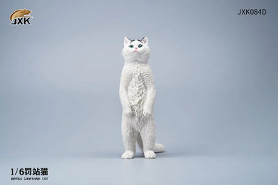 1/6 British Short Hair Dㅤ – JXK Studio – ActionFigureBrasil — ângulo diferente
