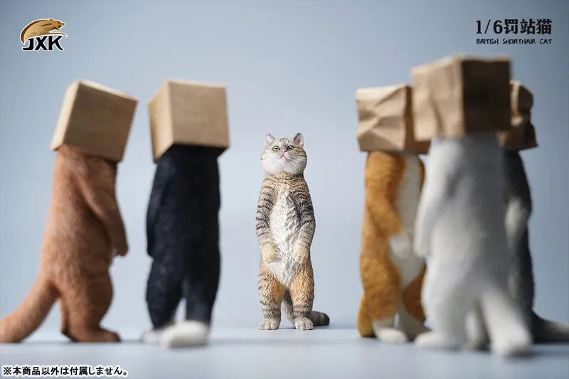 1/6 British Short Hair Eㅤ – JXK Studio – ActionFigureBrasil