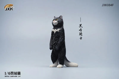 1/6 British Short Hair Fㅤ – JXK Studio – ActionFigureBrasil