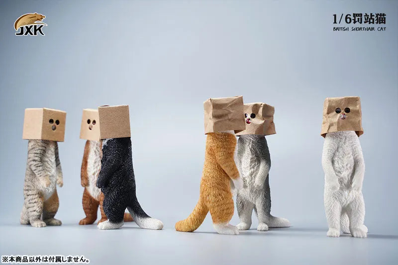 1/6 British Short Hair Fㅤ – JXK Studio – ActionFigureBrasil