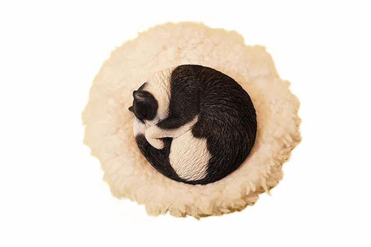 1/6 Cat Indulging in a Nap 3.0 Dㅤ – JXK Studio – ActionFigureBrasil