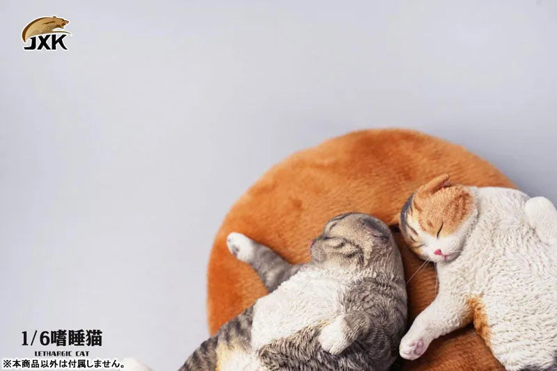 1/6 Cat which Indulge in a Nap Cㅤ – JXK Studio – ActionFigureBrasil