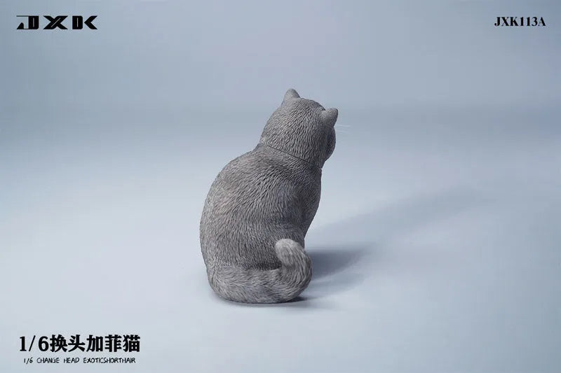 1/6 Change Head Exotic Short Hair Aㅤ – JXK Studio – ActionFigureBrasil
