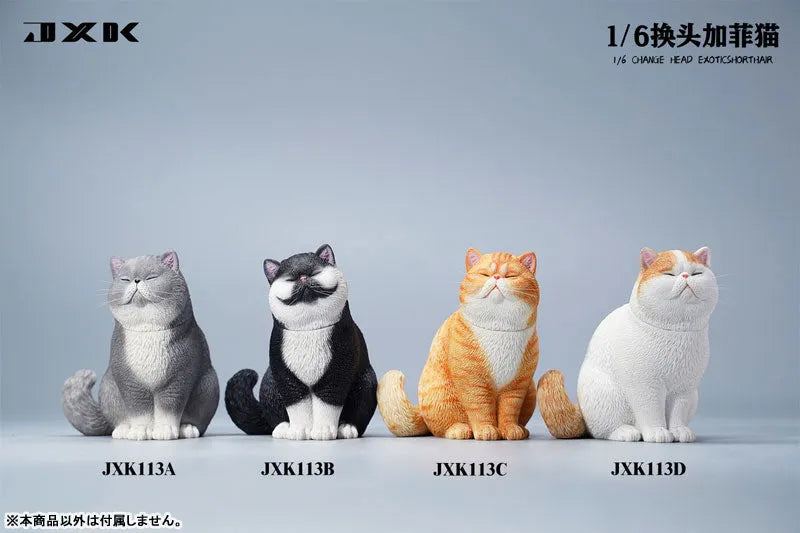 1/6 Change Head Exotic Short Hair Aㅤ – JXK Studio – ActionFigureBrasil