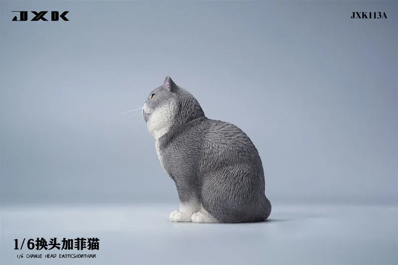 1/6 Change Head Exotic Short Hair Aㅤ – JXK Studio – ActionFigureBrasil