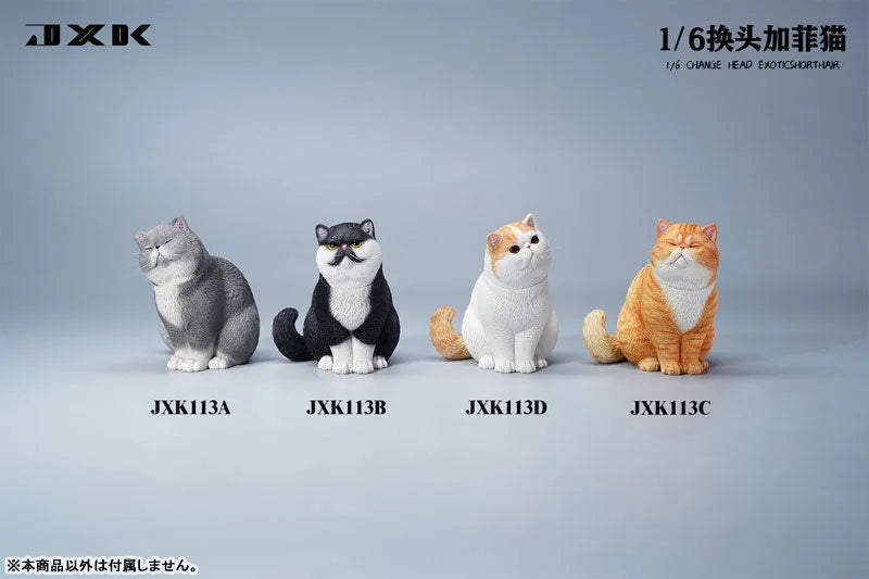 1/6 Change Head Exotic Short Hair Bㅤ – JXK Studio – ActionFigureBrasil