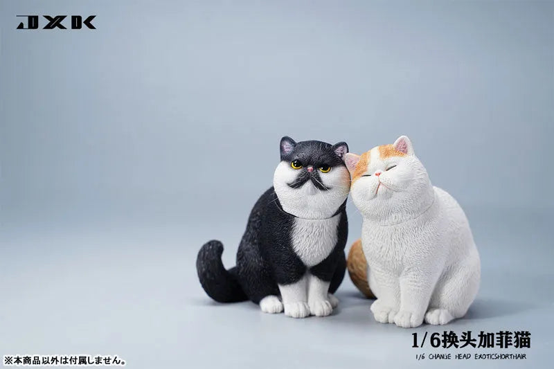 1/6 Change Head Exotic Short Hair Bㅤ – JXK Studio – ActionFigureBrasil