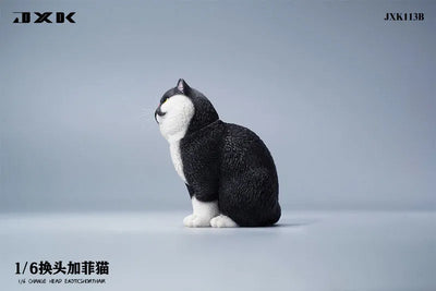 1/6 Change Head Exotic Short Hair Bㅤ – JXK Studio – ActionFigureBrasil — close