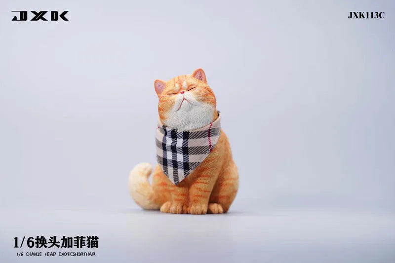 1/6 Change Head Exotic Short Hair Cㅤ – JXK Studio – ActionFigureBrasil