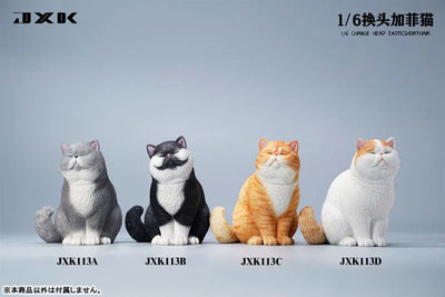 1/6 Change Head Exotic Short Hair Cㅤ – JXK Studio – ActionFigureBrasil — embalagem