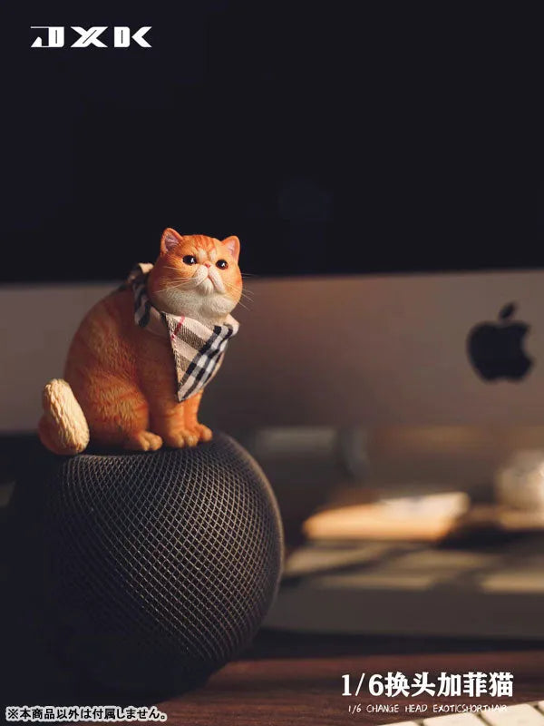 1/6 Change Head Exotic Short Hair Cㅤ – JXK Studio – ActionFigureBrasil