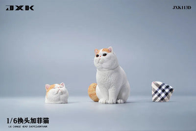 1/6 Change Head Exotic Short Hair Dㅤ – JXK Studio – ActionFigureBrasil — ângulo diferente