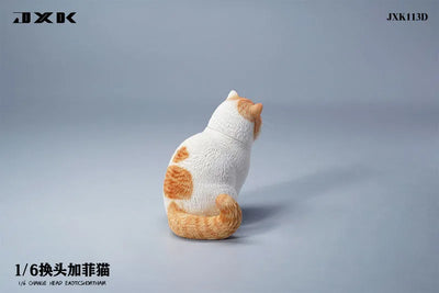 1/6 Change Head Exotic Short Hair Dㅤ – JXK Studio – ActionFigureBrasil — acessórios