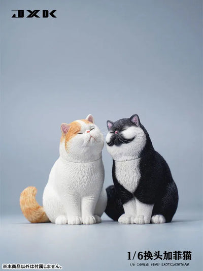 1/6 Change Head Exotic Short Hair Dㅤ – JXK Studio – ActionFigureBrasil — com base expositora