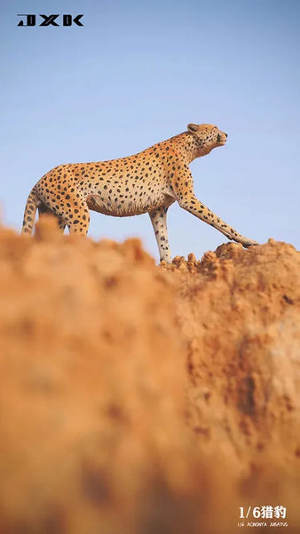 1/6 Cheetahㅤ – JXK Studio – ActionFigureBrasil — detalhe do produto