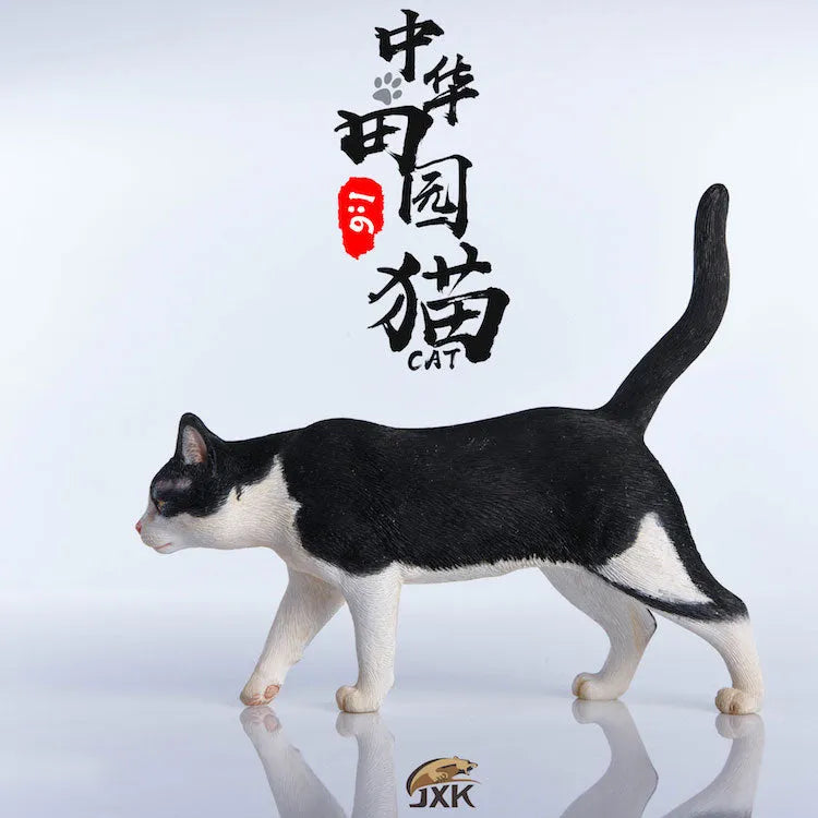 1/6 Chinese Cat C(Provisional Pre-order)ㅤ – JXKスタジオ – ActionFigure Brasil — ângulo diferente