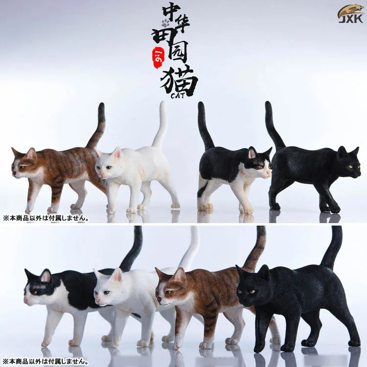 1/6 Chinese Cat C(Provisional Pre-order)ㅤ – JXKスタジオ – ActionFigure Brasil — ângulo diferente