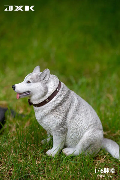 1/6 Chubby Husky Aㅤ – JXK Studio – ActionFigureBrasil — acessórios