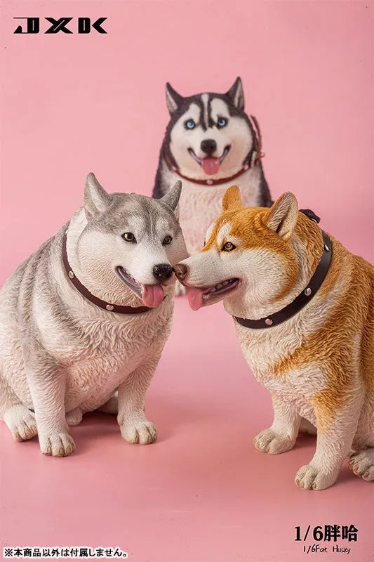 1/6 Chubby Husky Cㅤ – JXK Studio – ActionFigureBrasil