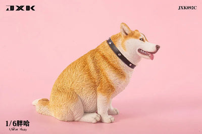 1/6 Chubby Husky Cㅤ – JXK Studio – ActionFigureBrasil — acessórios