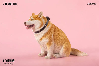 1/6 Chubby Husky Cㅤ – JXK Studio – ActionFigureBrasil — ambientada