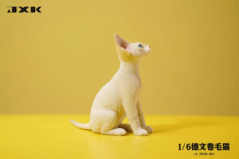 1/6 Devon Rex A1ㅤ – JXK Studio – ActionFigureBrasil