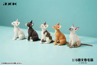 1/6 Devon Rex A1ㅤ – JXK Studio – ActionFigureBrasil — close