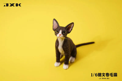 1/6 Devon Rex A2ㅤ – JXK Studio – ActionFigureBrasil — detalhe do produto