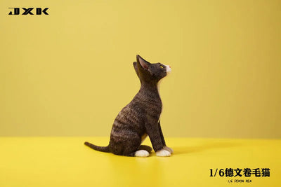 1/6 Devon Rex A2ㅤ – JXK Studio – ActionFigureBrasil — close